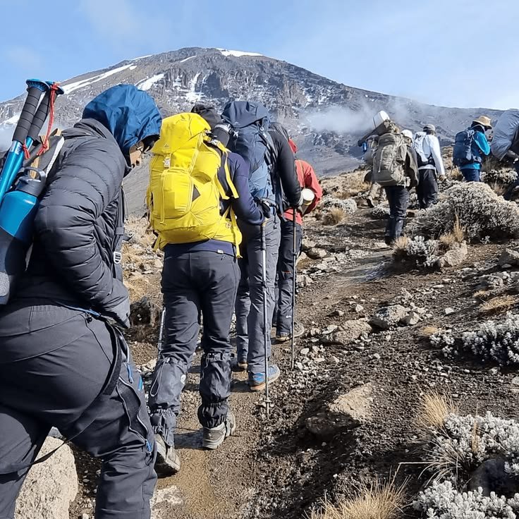 8 DAYS KILIMANJARO TREKKING VIA LEMOSHO